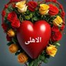 nader swaleh's profile picture