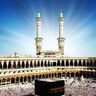 Omar Balubaid's profile picture