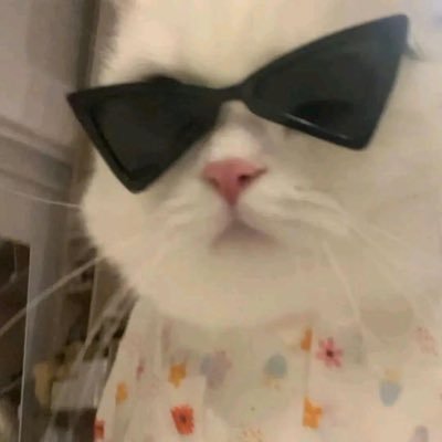 jptx01's profile picture