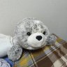 Profilbild von 石井