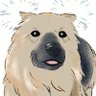 我が家の雑種犬6歳9ヶ月's profile picture