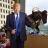 Profilbild von Patriots - Get Serious !!