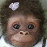 Profilbild von Lore Perez