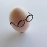 Фото профиля eggwithglasses