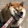 りゅーう profil fotoğrafı