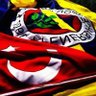 sarı's profile picture