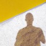 Fausto Mota's profile picture