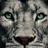 Anıl A77's profile picture