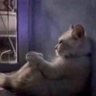 Returndrat profil fotoğrafı