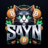 sayn 的头像