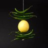 Фото профиля NimbuMirchi