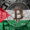 Verasity VRA , Chainlink LINK Top Whale profil fotoğrafı