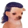 Bleach's profile picture