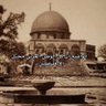 Shahad 的头像