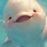 FARUK's profile picture