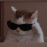 Profilbild von Hayes