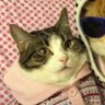 Profilbild von novia del gordo puto de juan