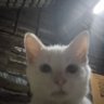 kaldagmaster69 profil fotoğrafı