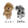 Profilbild von コロコロコロたん🌈＆ヘイヘイヘイホー🐾