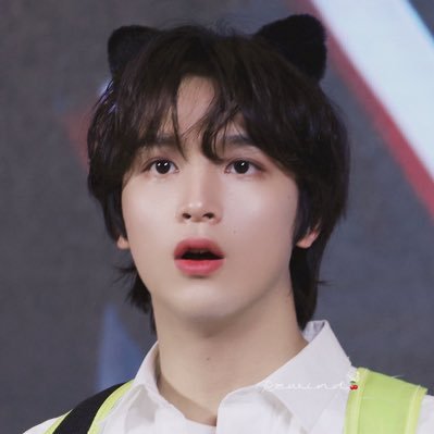 ศูนย์บรรเทาทุกหมี's profile picture