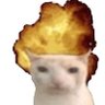 ãããŒãšð¶'s profile picture