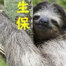 にしやん profil fotoğrafı