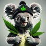 AussieTripa 🇦🇺💞𝕏 的头像