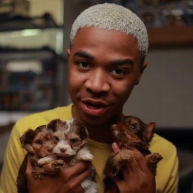 teacup_Y0rkies's profile picture