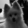 Mel 💙 Democracy's profile picture
