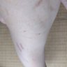 テク犯被害都内 的头像