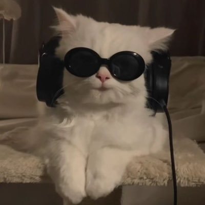 ann.'s profile picture