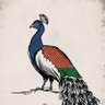 Mr.𝕏 的头像