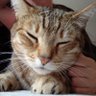 Judit profil fotoğrafı