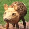 The Renk's profile picture