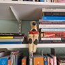 Profilbild von Shelf Dog