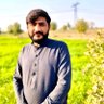 Rana Bilal Riaz 的头像