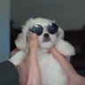 betquik's profile picture