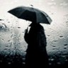 Profilbild von David John