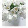 Фото профиля Dr. Samia