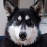 Profilbild von Doug