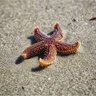 étoile de meR🌿's profile picture