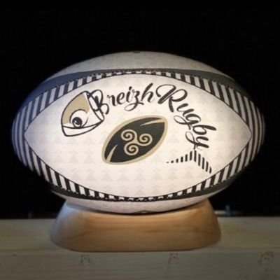Breizh Rugby 𝍎𝌆🏉's profile picture