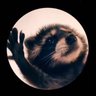 Pdawwwwg profil fotoğrafı