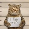 ObSqueak profil fotoğrafı