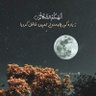 Фото профиля Raja RIZWAN Ishaq