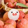 Lychee· 的头像
