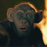 Joe's profile picture