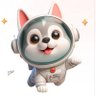 🚀 🚀's profile picture