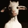 Profilbild von HUH