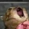 .'s profile picture
